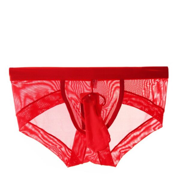 red see-through mesh elephant nose panties for men