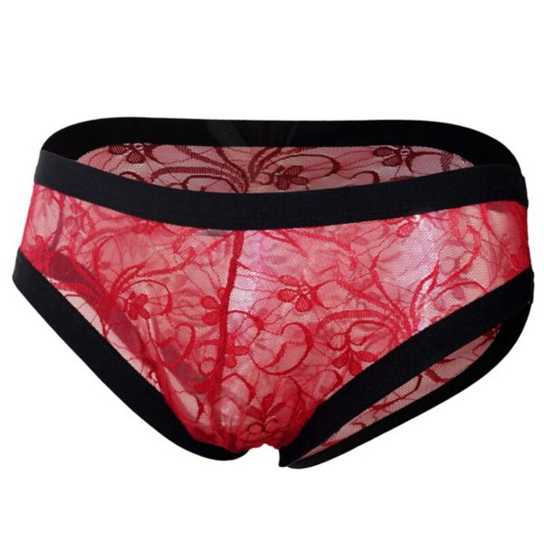 red low waist lace mesh transparent panties for men