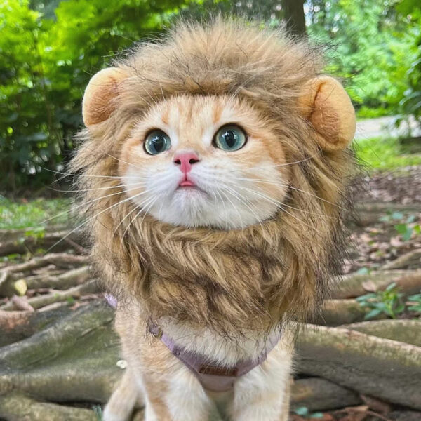 lion mane cat wig
