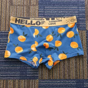 Men’s Medium Waist Nylon Boxer Underwear