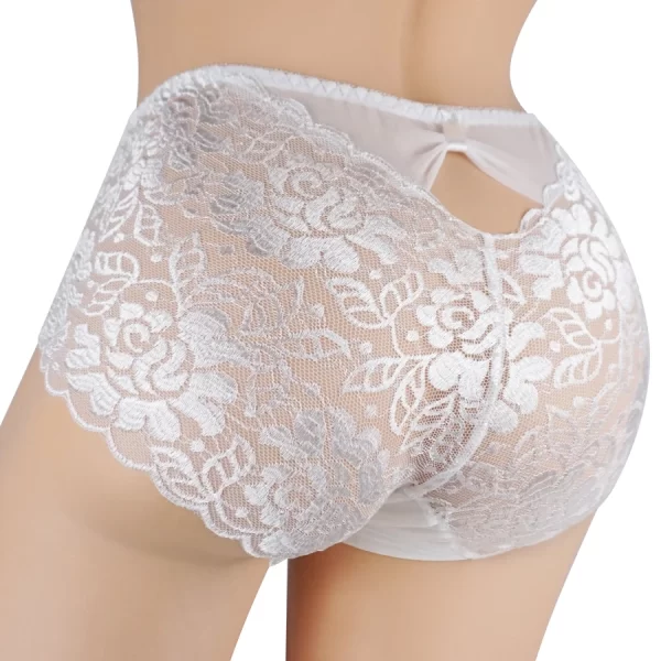 Men's Plus Size Breathable Lace Transparent Underwear