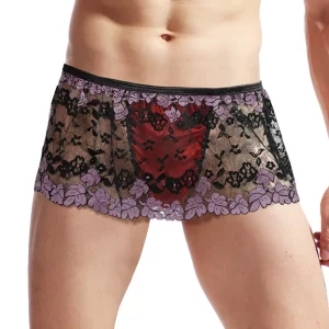 Men’s Sissy Lace Skirt and See-Through Panties