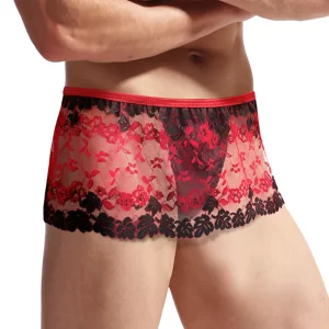 Men’s Sissy Lace Skirt and See-Through Panties