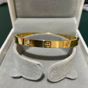 Stainless Steel Gold/Silver Colour Zircon Bangle