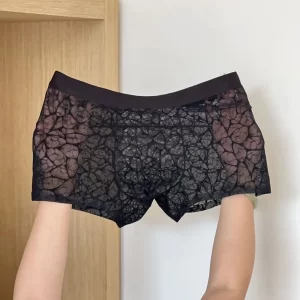 Men’s Quick Dry Lace Mesh Boxer Briefs