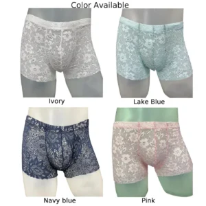 Men’s Lace Pouch Bulge Mid-Waist Panties